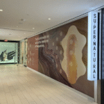 Screenshot 2026 01 27 at 3.28.11 PM 150x150