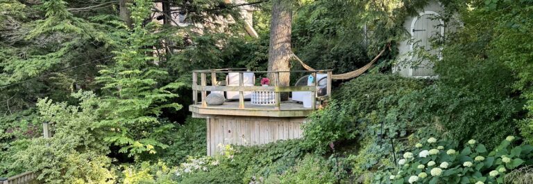 IMG 6469 cropped 768x266