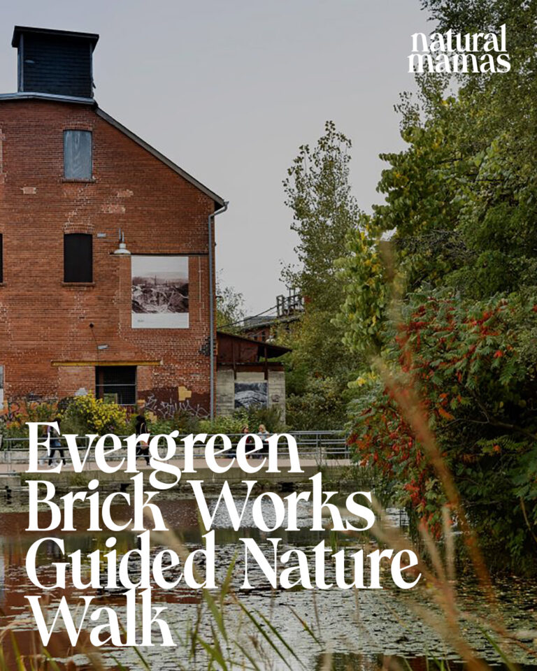 brickworksguidednaturewalkjpg 768x960