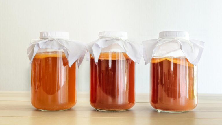 kombucha 768x432