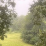 IMG 2803 1 150x150